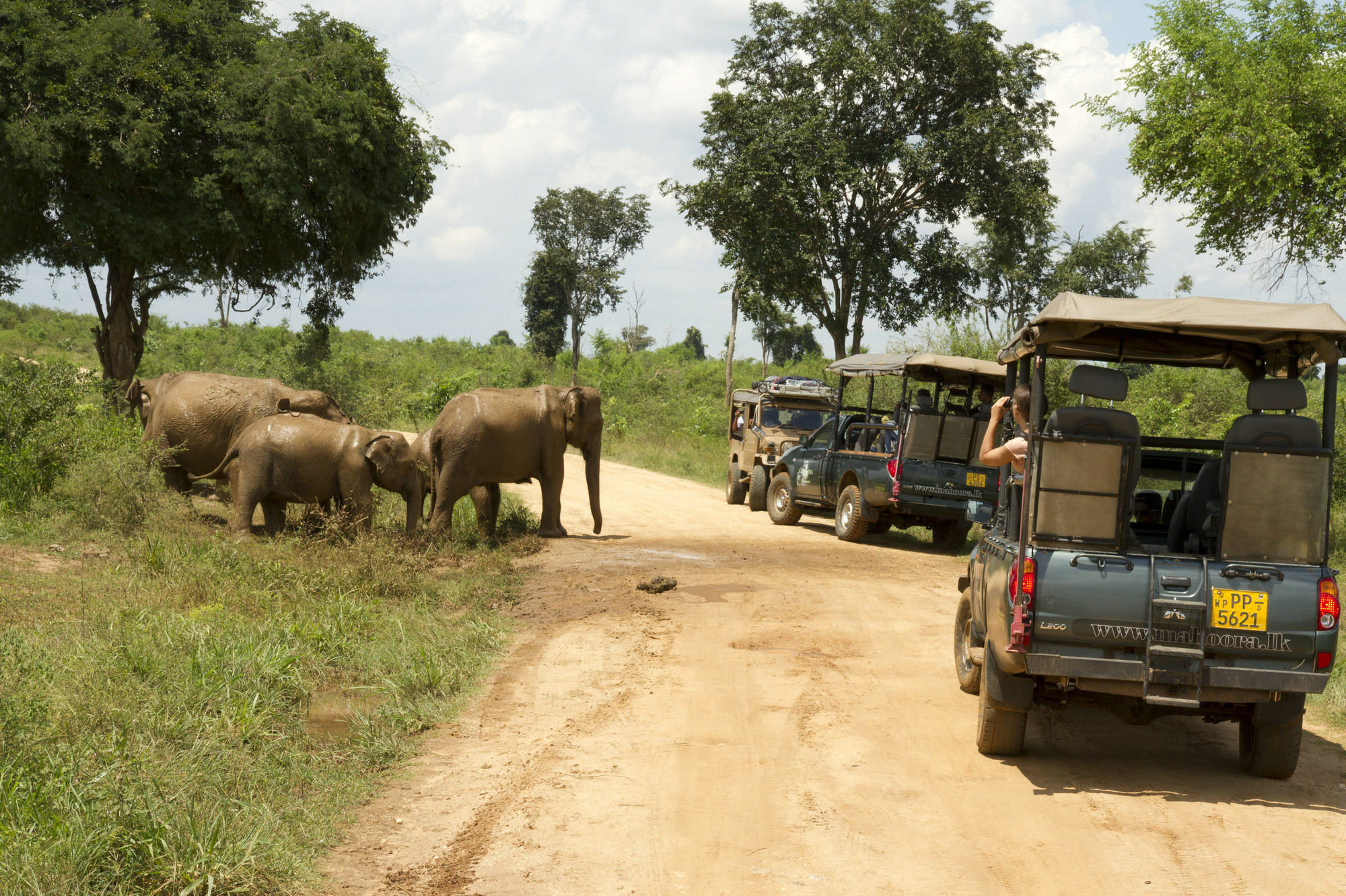 Mahoora Tented Safari Camp Udawalawe Exteriér fotografie