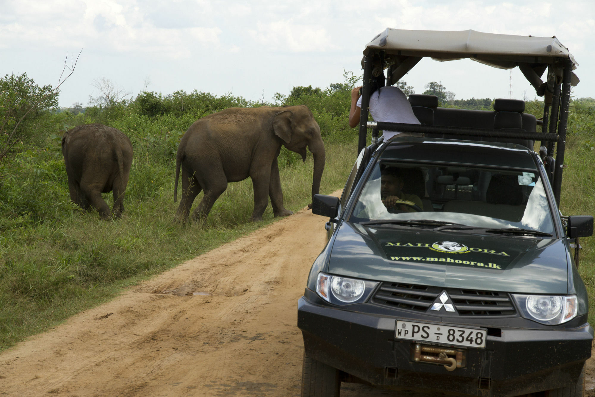 Mahoora Tented Safari Camp Udawalawe Exteriér fotografie