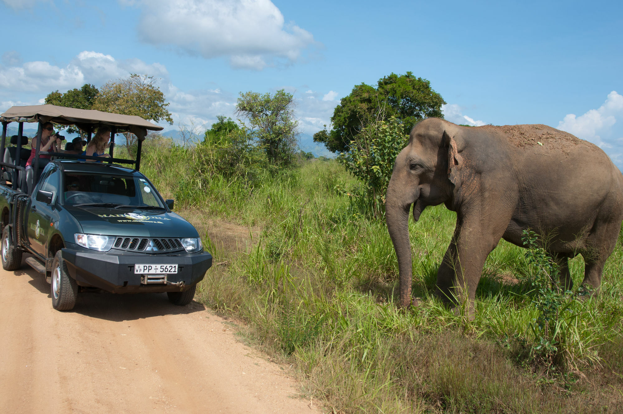 Mahoora Tented Safari Camp Udawalawe Exteriér fotografie