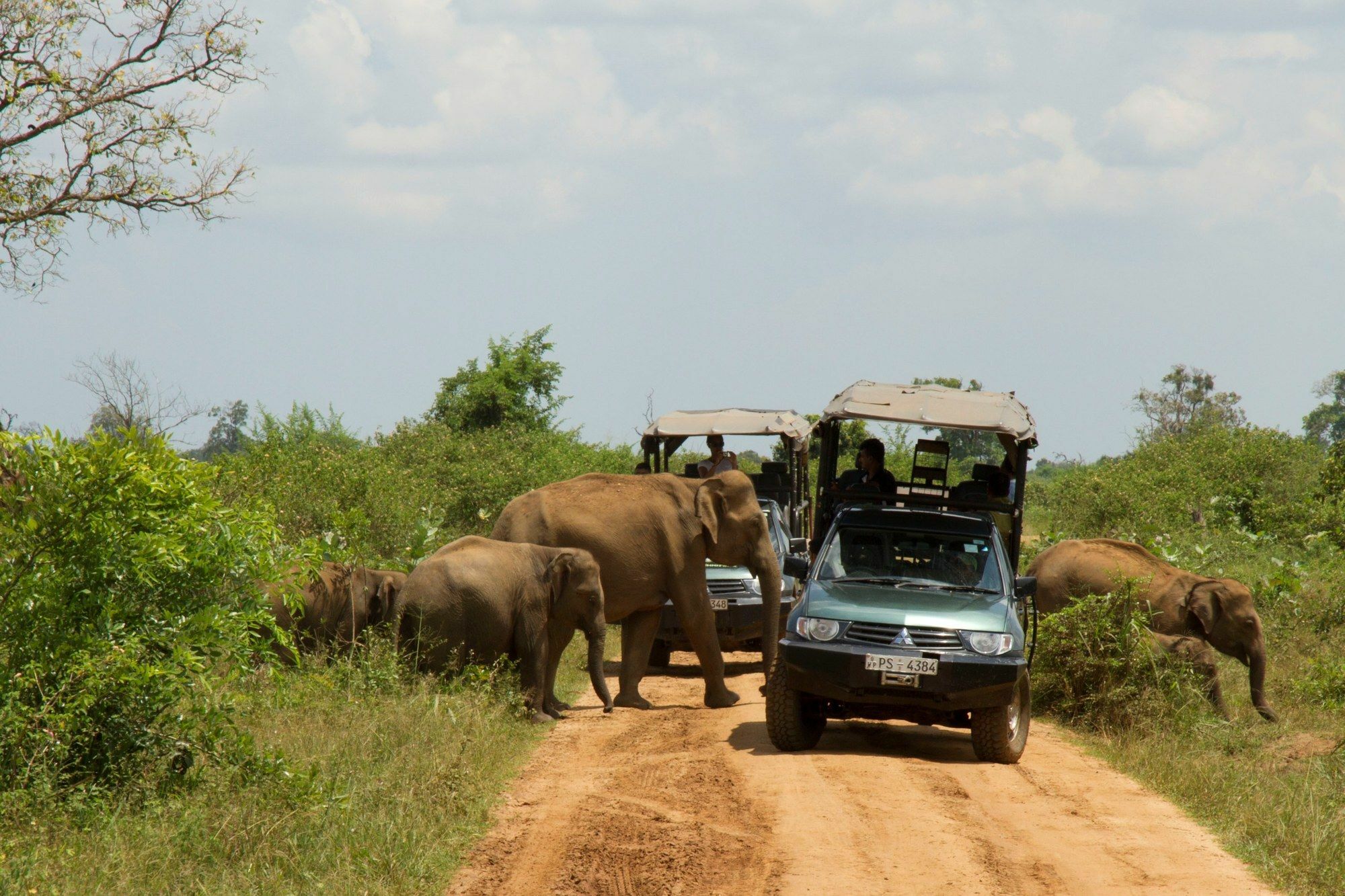 Mahoora Tented Safari Camp Udawalawe Exteriér fotografie