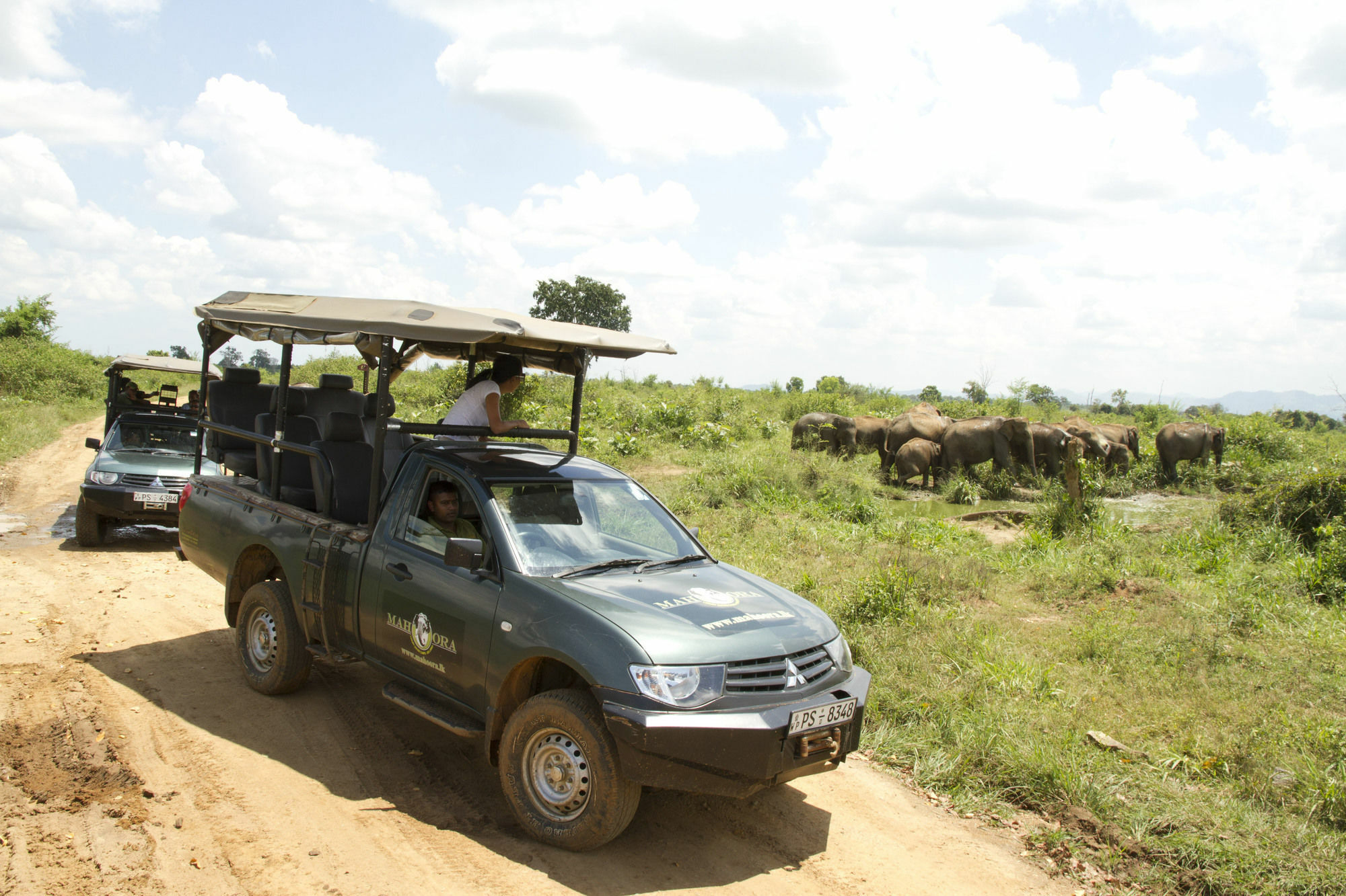 Mahoora Tented Safari Camp Udawalawe Exteriér fotografie