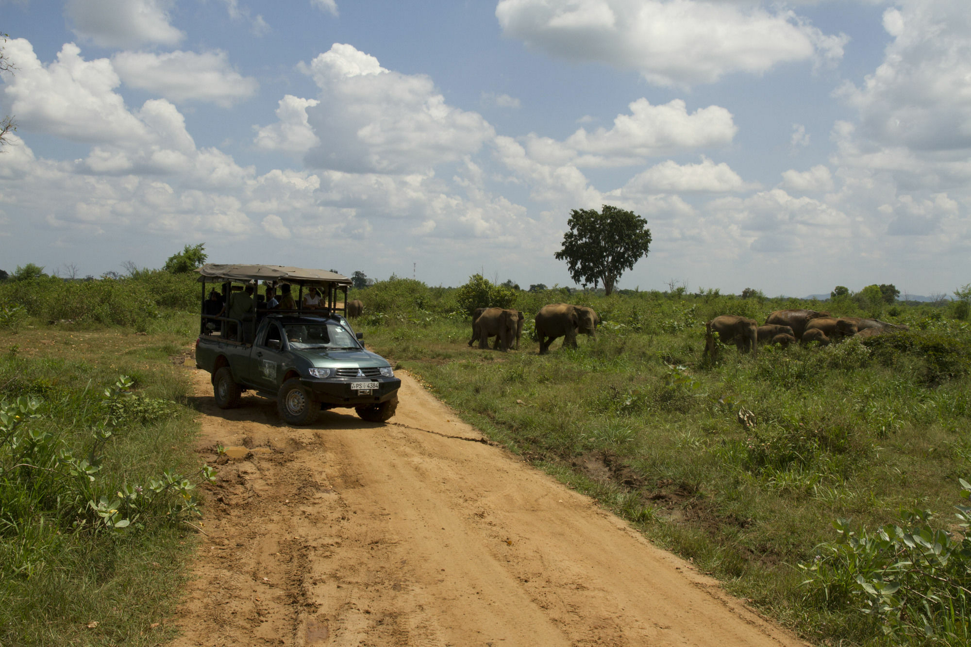 Mahoora Tented Safari Camp Udawalawe Exteriér fotografie
